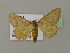  ( - BC ZSM Lep 15578)  @13 [ ] CreativeCommons - Attribution Non-Commercial Share-Alike (2010) Unspecified SNSB, Zoologische Staatssammlung Muenchen