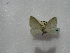  ( - BC ZSM Lep 16366)  @12 [ ] CreativeCommons - Attribution Non-Commercial Share-Alike (2010) Unspecified SNSB, Zoologische Staatssammlung Muenchen
