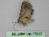  ( - BC ZSM Lep 17867)  @11 [ ] CreativeCommons - Attribution Non-Commercial Share-Alike (2010) Unspecified SNSB, Zoologische Staatssammlung Muenchen