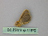  ( - BC ZSM Lep 17879)  @12 [ ] CreativeCommons - Attribution Non-Commercial Share-Alike (2010) Unspecified SNSB, Zoologische Staatssammlung Muenchen