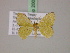  ( - BC ZSM Lep 20093)  @14 [ ] CreativeCommons - Attribution Non-Commercial Share-Alike (2010) Unspecified SNSB, Zoologische Staatssammlung Muenchen