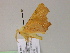  ( - BC ZSM Lep 21478)  @14 [ ] CreativeCommons - Attribution Non-Commercial Share-Alike (2010) Unspecified SNSB, Zoologische Staatssammlung Muenchen