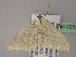  ( - BC ZSM Lep 22531)  @12 [ ] CreativeCommons - Attribution Non-Commercial Share-Alike (2010) Unspecified SNSB, Zoologische Staatssammlung Muenchen