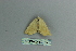  ( - BC ZSM Lep 80134)  @12 [ ] CreativeCommons - Attribution Non-Commercial Share-Alike (2013) Axel Hausmann/Bavarian State Collection of Zoology (ZSM) SNSB, Zoologische Staatssammlung Muenchen