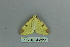  ( - BC ZSM Lep 80142)  @12 [ ] CreativeCommons - Attribution Non-Commercial Share-Alike (2013) Axel Hausmann/Bavarian State Collection of Zoology (ZSM) SNSB, Zoologische Staatssammlung Muenchen