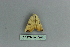  ( - BC ZSM Lep 80171)  @12 [ ] CreativeCommons - Attribution Non-Commercial Share-Alike (2013) Axel Hausmann/Bavarian State Collection of Zoology (ZSM) SNSB, Zoologische Staatssammlung Muenchen