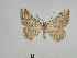  ( - BC SMNK Lep 00009)  @13 [ ] Copyright (2010) Unspecified Staatliches Museum fuer Naturkunde Karlsruhe
