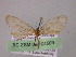  ( - BC ZSM Lep 04509)  @12 [ ] CreativeCommons - Attribution Non-Commercial Share-Alike (2010) Unspecified SNSB, Zoologische Staatssammlung Muenchen