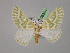  ( - BC ZSM Lep 08501)  @13 [ ] CreativeCommons - Attribution Non-Commercial Share-Alike (2010) Unspecified SNSB, Zoologische Staatssammlung Muenchen