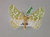  ( - BC ZSM Lep 08502)  @13 [ ] CreativeCommons - Attribution Non-Commercial Share-Alike (2010) Unspecified SNSB, Zoologische Staatssammlung Muenchen