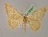  ( - BC ZSM Lep 08567)  @13 [ ] CreativeCommons - Attribution Non-Commercial Share-Alike (2010) Unspecified SNSB, Zoologische Staatssammlung Muenchen