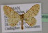  ( - BC ZSM Lep 09690)  @13 [ ] CreativeCommons - Attribution Non-Commercial Share-Alike (2010) Unspecified SNSB, Zoologische Staatssammlung Muenchen