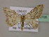  ( - BC ZSM Lep 09705)  @13 [ ] CreativeCommons - Attribution Non-Commercial Share-Alike (2010) Unspecified SNSB, Zoologische Staatssammlung Muenchen