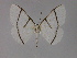  ( - BC ZSM Lep 17135)  @11 [ ] CreativeCommons - Attribution Non-Commercial Share-Alike (2010) Unspecified SNSB, Zoologische Staatssammlung Muenchen