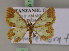  (Zamarada candelabraMS01Tz - BC ZSM Lep 17209)  @14 [ ] CreativeCommons - Attribution Non-Commercial Share-Alike (2010) Unspecified SNSB, Zoologische Staatssammlung Muenchen