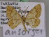  (Zamarada ansorgei - BC ZSM Lep 17217)  @14 [ ] CreativeCommons - Attribution Non-Commercial Share-Alike (2010) Unspecified SNSB, Zoologische Staatssammlung Muenchen