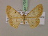  ( - BC ZSM Lep 17220)  @13 [ ] CreativeCommons - Attribution Non-Commercial Share-Alike (2010) Unspecified SNSB, Zoologische Staatssammlung Muenchen