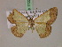  ( - BC ZSM Lep 17222)  @13 [ ] CreativeCommons - Attribution Non-Commercial Share-Alike (2010) Unspecified SNSB, Zoologische Staatssammlung Muenchen
