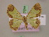  (Zamarada melpomene - BC ZSM Lep 17244)  @14 [ ] CreativeCommons - Attribution Non-Commercial Share-Alike (2010) Unspecified SNSB, Zoologische Staatssammlung Muenchen