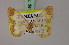  (Zamarada usambarae - BC ZSM Lep 17260)  @11 [ ] CreativeCommons - Attribution Non-Commercial Share-Alike (2010) Unspecified SNSB, Zoologische Staatssammlung Muenchen