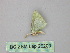  ( - BC ZSM Lep 26200)  @12 [ ] CreativeCommons - Attribution Non-Commercial Share-Alike (2010) Unspecified SNSB, Zoologische Staatssammlung Muenchen
