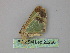  ( - BC ZSM Lep 26260)  @13 [ ] CreativeCommons - Attribution Non-Commercial Share-Alike (2010) Unspecified SNSB, Zoologische Staatssammlung Muenchen