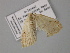  ( - BC ZSM Lep 26613)  @11 [ ] CreativeCommons - Attribution Non-Commercial Share-Alike (2010) Unspecified SNSB, Zoologische Staatssammlung Muenchen