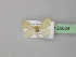  ( - BC ZSM Lep 26634)  @13 [ ] CreativeCommons - Attribution Non-Commercial Share-Alike (2010) Unspecified SNSB, Zoologische Staatssammlung Muenchen