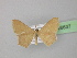  ( - BC ZSM Lep 26637)  @13 [ ] CreativeCommons - Attribution Non-Commercial Share-Alike (2010) Unspecified SNSB, Zoologische Staatssammlung Muenchen