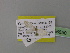  ( - BC ZSM Lep 26650)  @11 [ ] CreativeCommons - Attribution Non-Commercial Share-Alike (2010) Unspecified SNSB, Zoologische Staatssammlung Muenchen