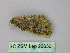  (Franciscoia AH01 - BC ZSM Lep 26656)  @13 [ ] CreativeCommons - Attribution Non-Commercial Share-Alike (2010) Unspecified SNSB, Zoologische Staatssammlung Muenchen
