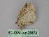  (Lacaria AH10Cl - BC ZSM Lep 26672)  @12 [ ] CreativeCommons - Attribution Non-Commercial Share-Alike (2010) Unspecified SNSB, Zoologische Staatssammlung Muenchen