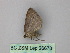  (Nebula corticalisAH01Cl - BC ZSM Lep 26673)  @12 [ ] CreativeCommons - Attribution Non-Commercial Share-Alike (2010) Unspecified SNSB, Zoologische Staatssammlung Muenchen