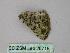 ( - BC ZSM Lep 26715)  @12 [ ] CreativeCommons - Attribution Non-Commercial Share-Alike (2010) Unspecified SNSB, Zoologische Staatssammlung Muenchen