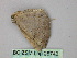  ( - BC ZSM Lep 26742)  @12 [ ] CreativeCommons - Attribution Non-Commercial Share-Alike (2010) Unspecified SNSB, Zoologische Staatssammlung Muenchen
