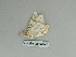  (Phrygionis platinataGM01 - BC ZSM Lep 85746)  @13 [ ] CreativeCommons - Attribution Non-Commercial Share-Alike (2015) Axel Hausmann/Bavarian State Collection of Zoology (ZSM) SNSB, Zoologische Staatssammlung Muenchen