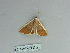  ( - BC ZSM Lep 85754)  @13 [ ] CreativeCommons - Attribution Non-Commercial Share-Alike (2015) Axel Hausmann/Bavarian State Collection of Zoology (ZSM) SNSB, Zoologische Staatssammlung Muenchen