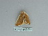  ( - BC ZSM Lep 85755)  @13 [ ] CreativeCommons - Attribution Non-Commercial Share-Alike (2015) Axel Hausmann/Bavarian State Collection of Zoology (ZSM) SNSB, Zoologische Staatssammlung Muenchen