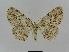  ( - BC EF Alc 00002)  @13 [ ] Copyright (2010) Unspecified Research Collection of Egbert Friedrich