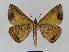  ( - BC EF Alc 00003)  @14 [ ] Copyright (2010) Unspecified Research Collection of Egbert Friedrich