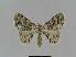  ( - BC EF Alc 00004)  @13 [ ] Copyright (2010) Unspecified Research Collection of Egbert Friedrich