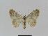  ( - BC EF Alc 00004)  @12 [ ] Copyright (2010) Unspecified Research Collection of Egbert Friedrich