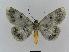  ( - BC EF Alc 00006)  @14 [ ] Copyright (2010) Unspecified Research Collection of Egbert Friedrich