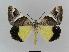  ( - BC EF Alc 00011)  @13 [ ] Copyright (2010) Unspecified Research Collection of Egbert Friedrich