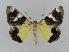  ( - BC EF Alc 00011)  @13 [ ] Copyright (2010) Unspecified Research Collection of Egbert Friedrich