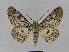  ( - BC EF Alc 00012)  @14 [ ] Copyright (2010) Unspecified Research Collection of Egbert Friedrich