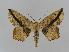  ( - BC EF Alc 00014)  @14 [ ] Copyright (2010) Unspecified Research Collection of Egbert Friedrich