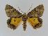  ( - BC EF Alc 00022)  @13 [ ] Copyright (2010) Unspecified Research Collection of Egbert Friedrich