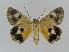  ( - BC EF Alc 00022)  @13 [ ] Copyright (2010) Unspecified Research Collection of Egbert Friedrich