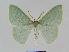  ( - BC EF Alc 00027)  @14 [ ] Copyright (2010) Unspecified Research Collection of Egbert Friedrich